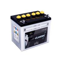 IntAct-Classic 52420 - 12N24-4